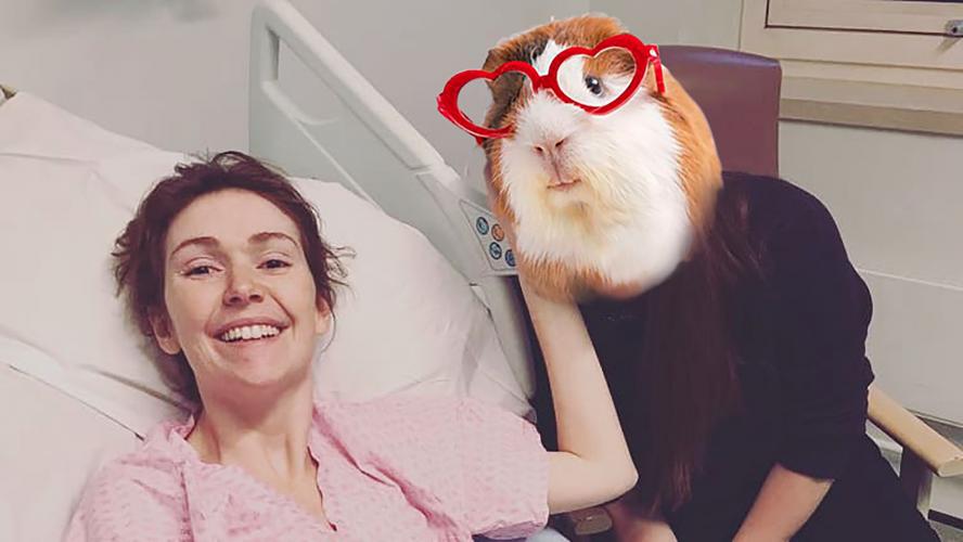 A woman in hospital being comforted by a man with a guinea pig face photo-shopped over his own.