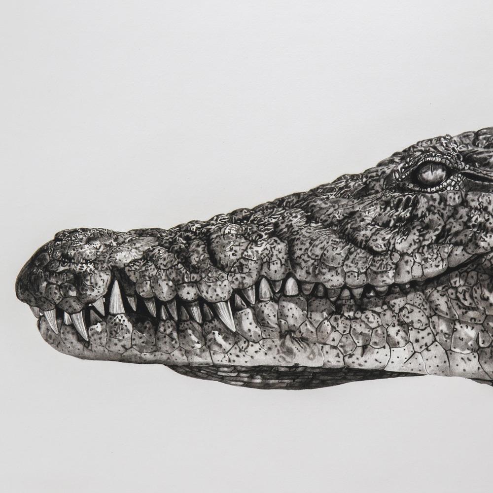 Crocodile print