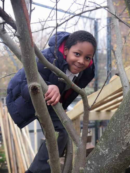 This image is of a student from Griffin Primary School, climbing a tree.