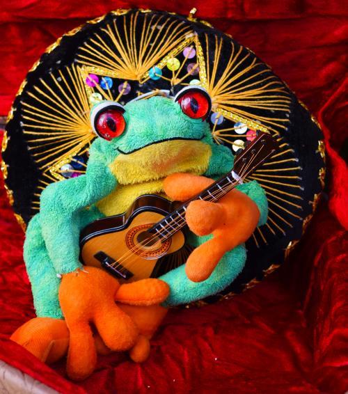 Froggy’s Music Show