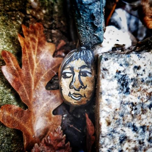 Pebbleface peering out between leaves