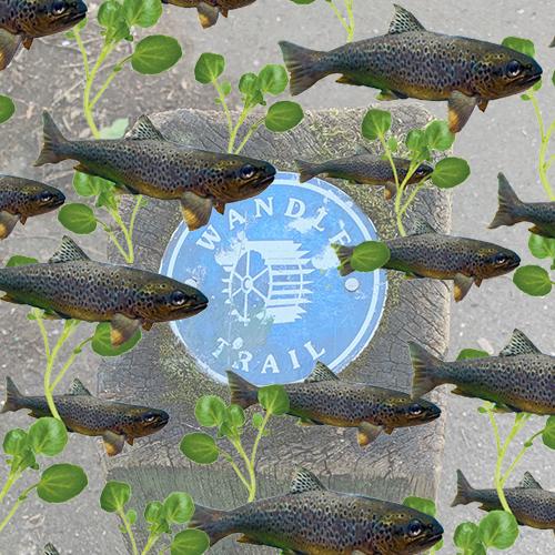 A signpost for the Wandle Trail  is overlaid by swimming trout and watercress images